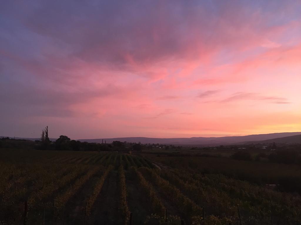 Calitzdorp Country House Dış mekan fotoğraf